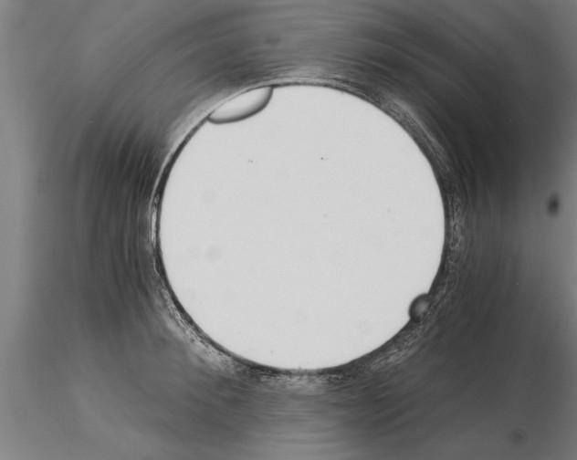 X0000115260900200912111137