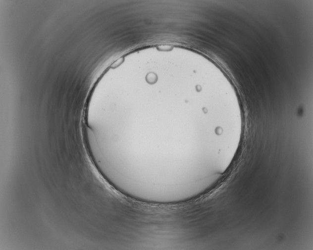 X0000115260901200912111137