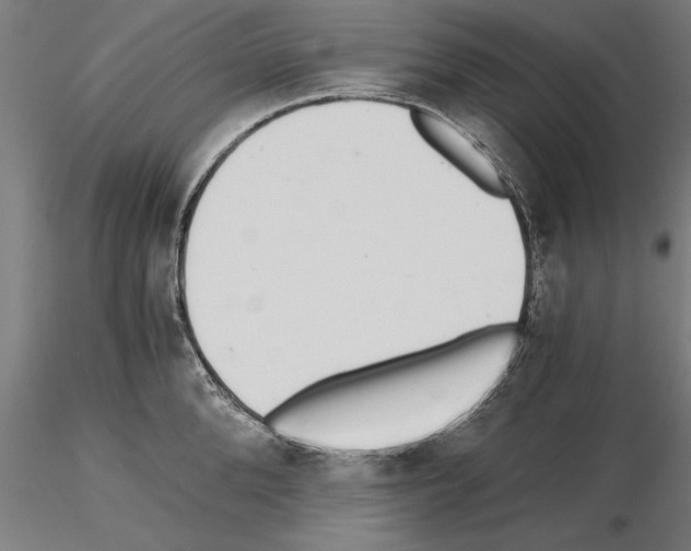 X0000115260904200912111137