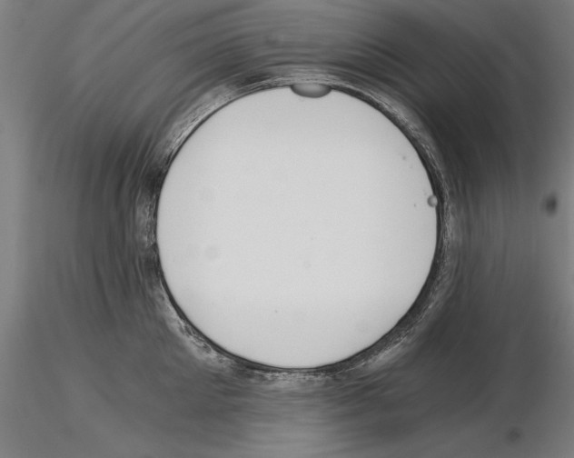 X0000115260905200912111137