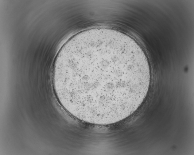 X0000115260907200912111137