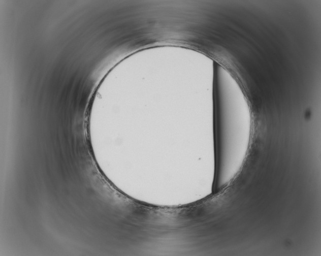 X0000115260908200912111137