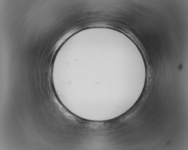 X0000115260909200912111137