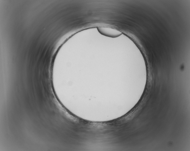 X0000115260910200912111137