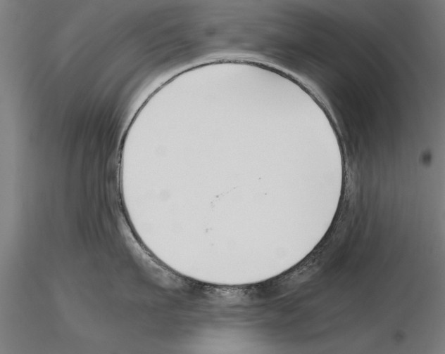 X0000115260911200912111137