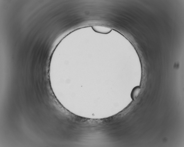 X0000115260912200912111137