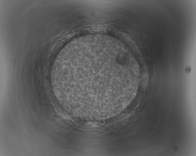 X0000115260913200912111137