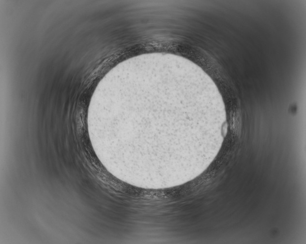 X0000115260915200912111137