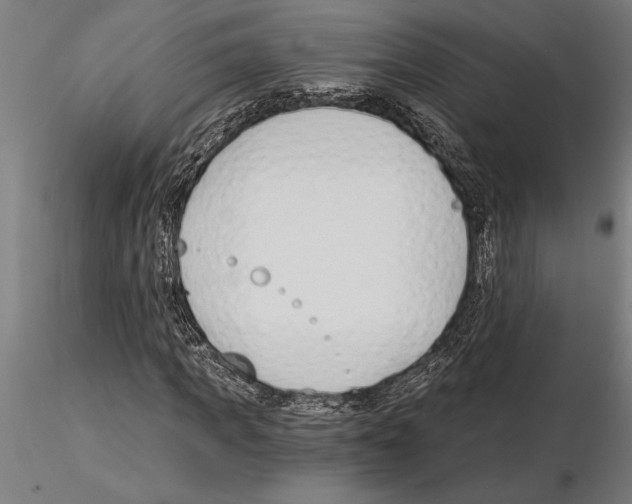 X0000115260917200912111137