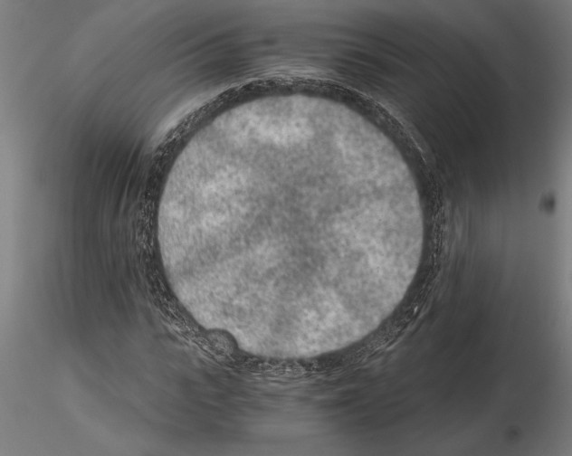 X0000115260919200912111137