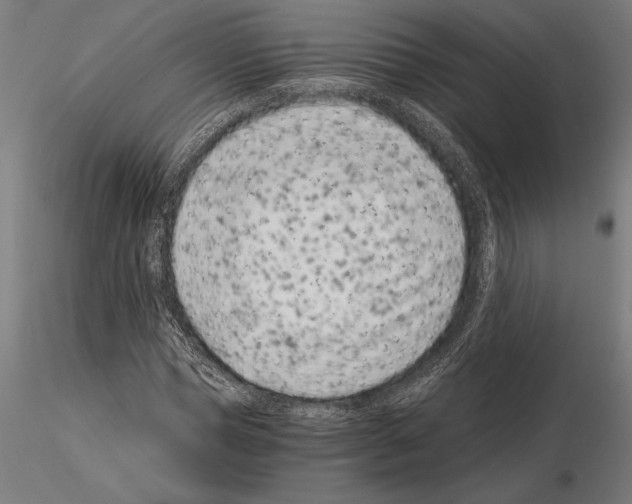 X0000115260921200912111137