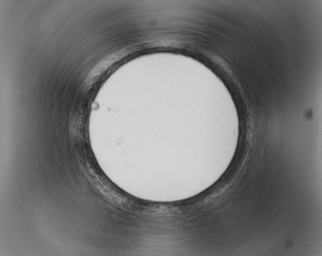 X0000115260922200912111137