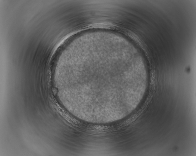 X0000115260923200912111137