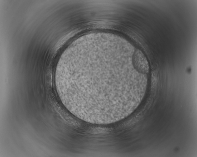 X0000115260925200912111137