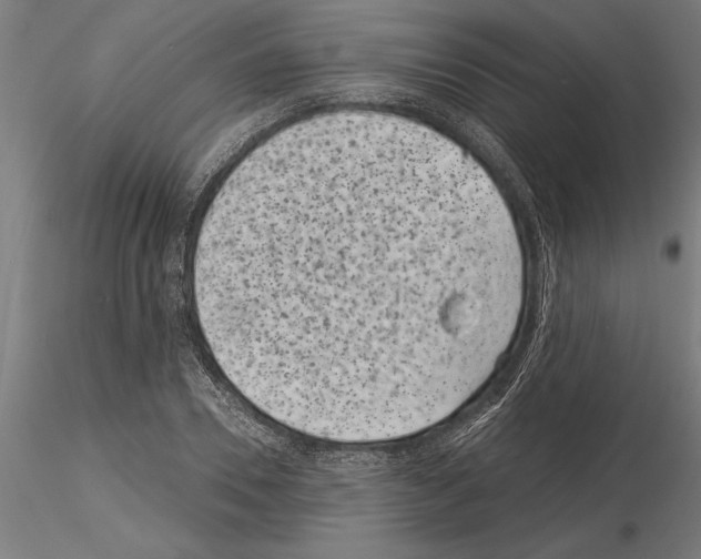 X0000115260930200912111137