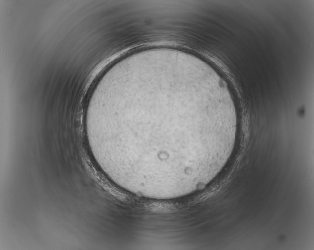 X0000115260933200912111137