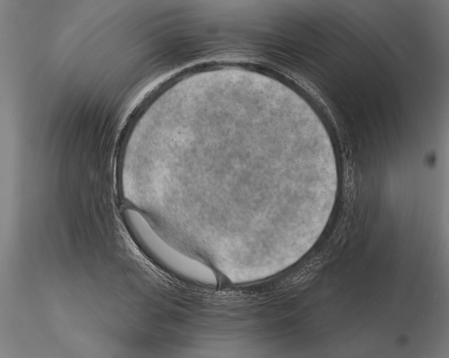 X0000115260935200912111137