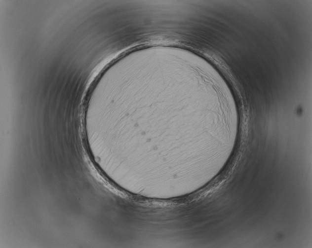 X0000115260941200912111137