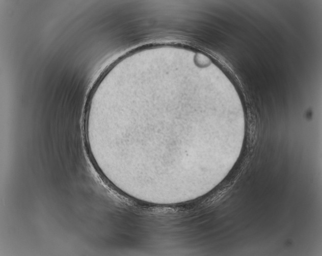 X0000115260943200912111137