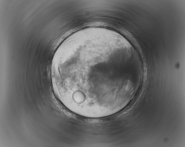 X0000115260945200912111137