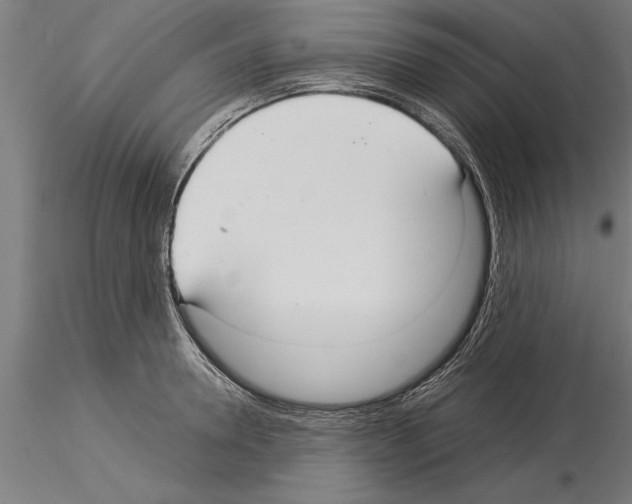 X0000115260946200912111137