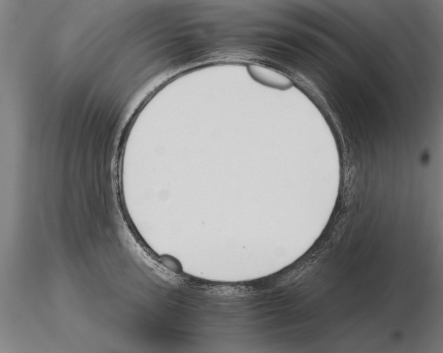 X0000115260947200912111137