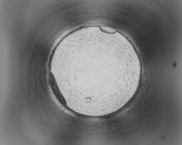 X0000115260949200912111137