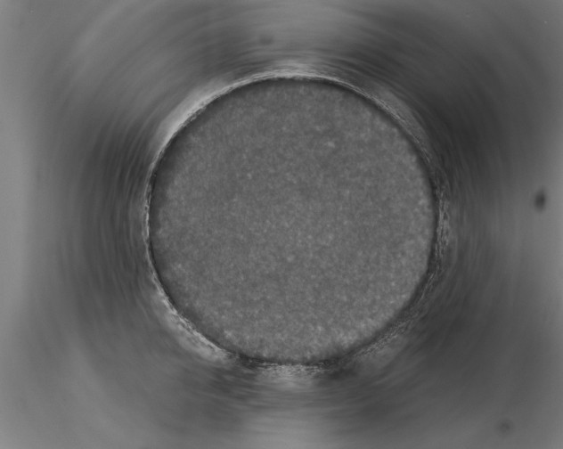 X0000115260950200912111137