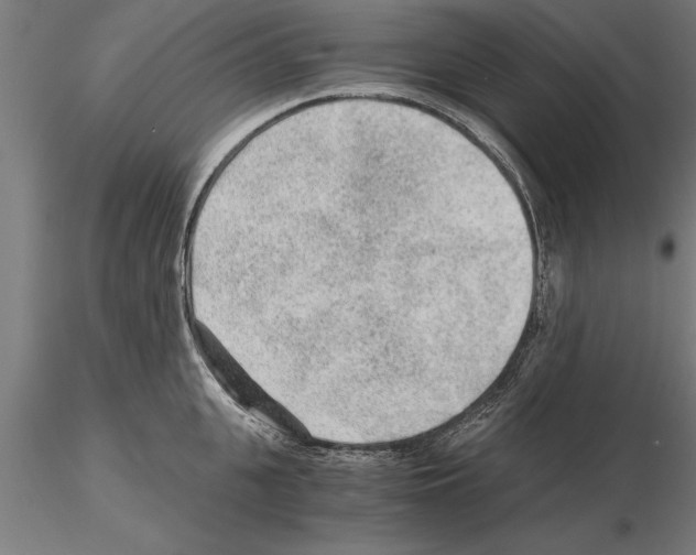 X0000115260951200912111137