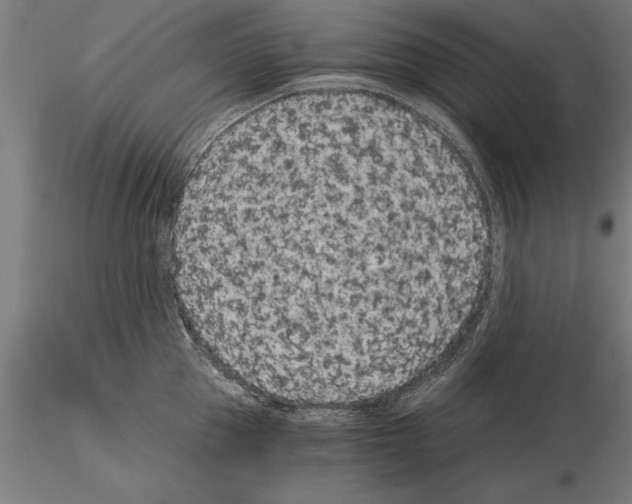 X0000115260953200912111137