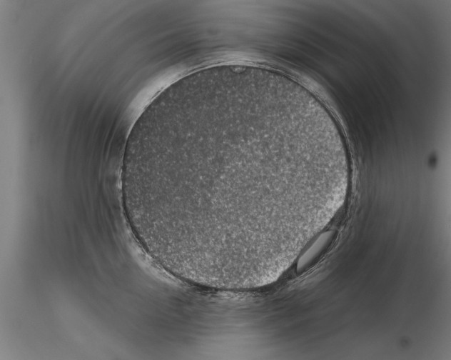 X0000115260954200912111137