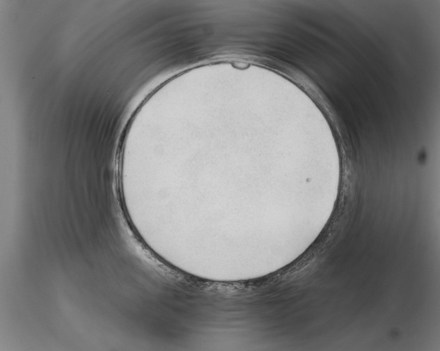 X0000115260955200912111137