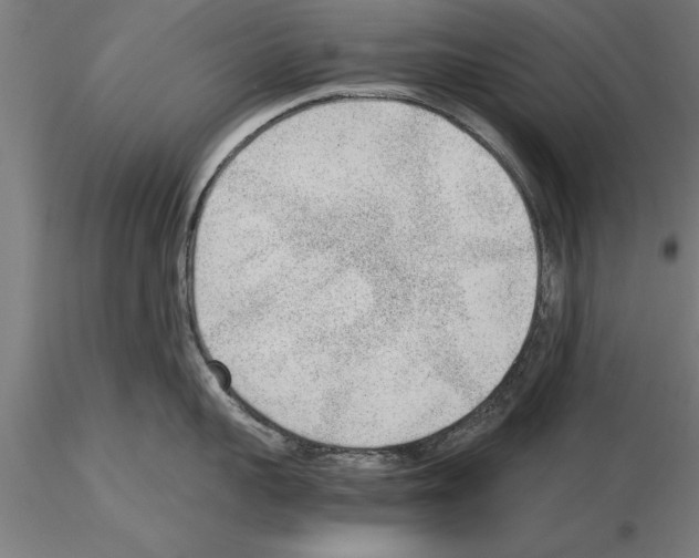 X0000115260959200912111137