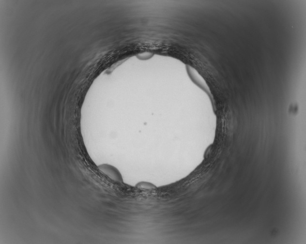 X0000115260961200912111136