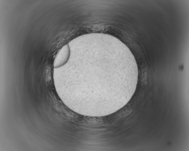 X0000115260962200912111136