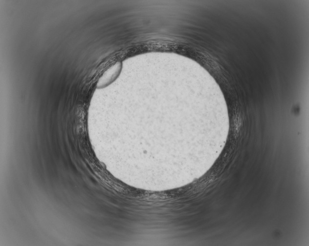 X0000115260964200912111136