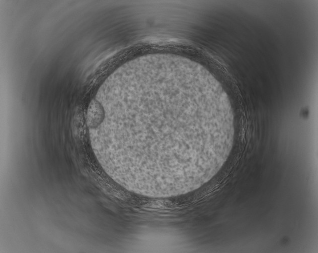 X0000115260966200912111136