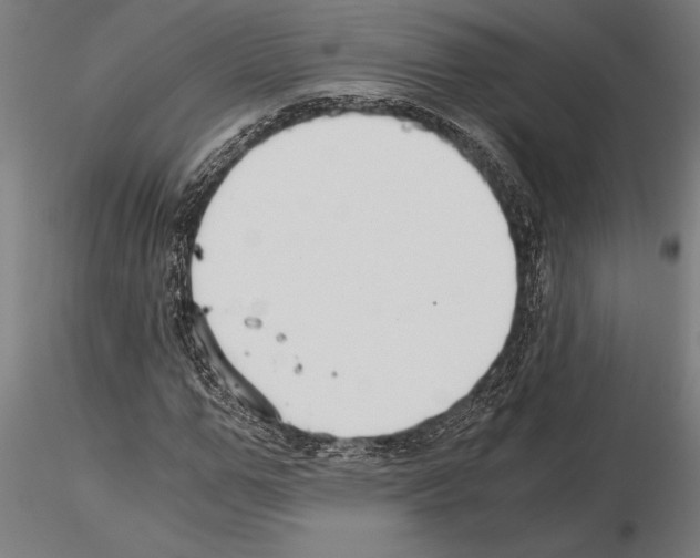 X0000115260967200912111136