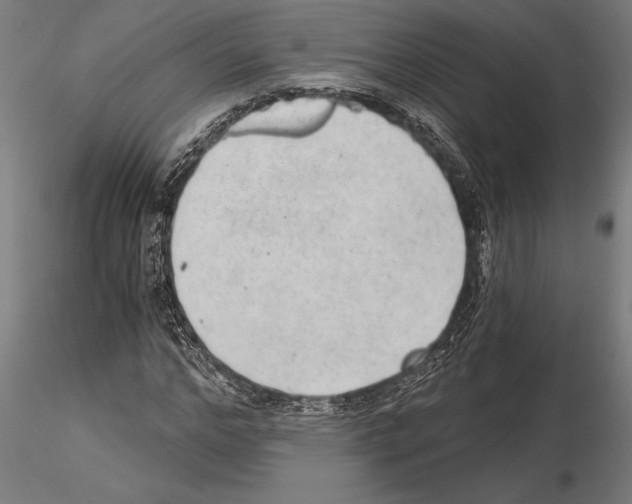 X0000115260968200912111136