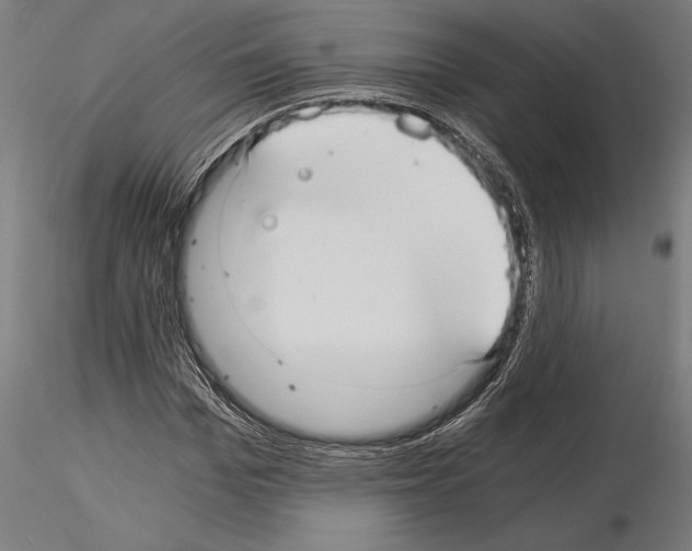 X0000115260969200912111136