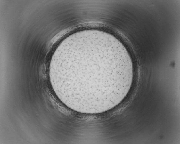 X0000115260970200912111136