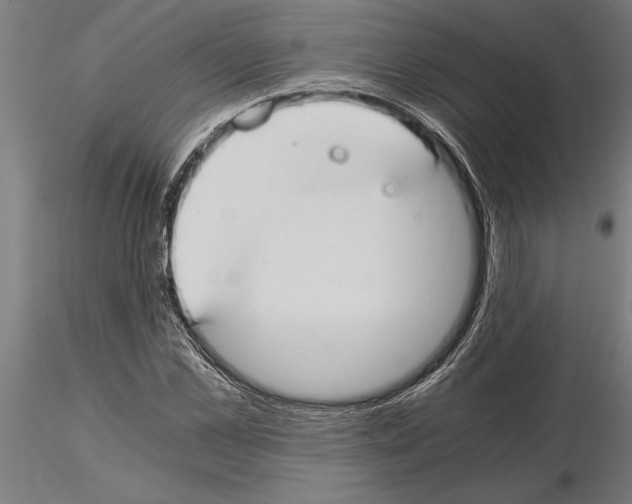 X0000115260973200912111136