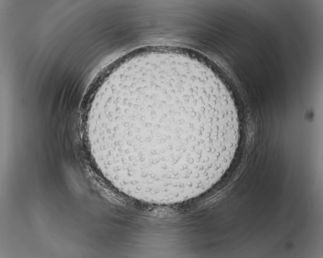 X0000115260974200912111136