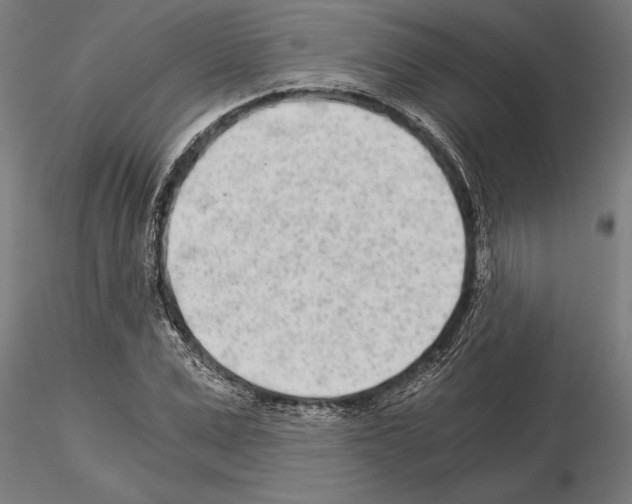 X0000115260975200912111136