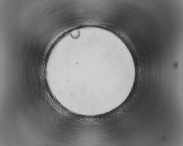 X0000115260976200912111136