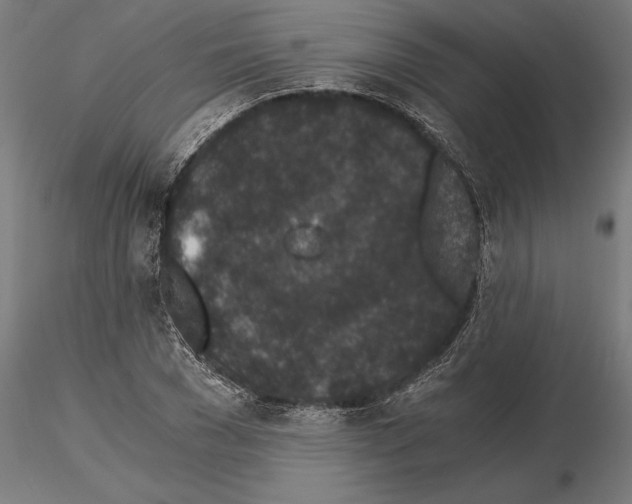 X0000115260977200912111136