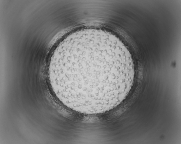 X0000115260978200912111136