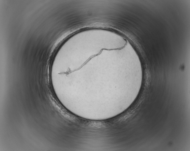 X0000115260982200912111136