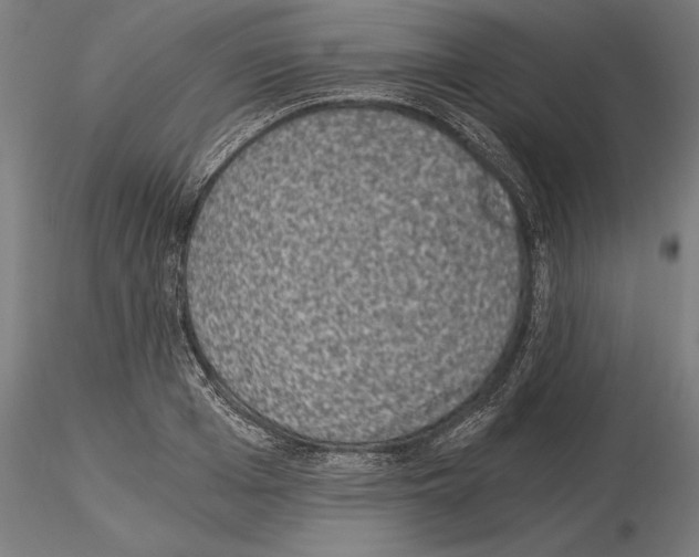 X0000115260985200912111136