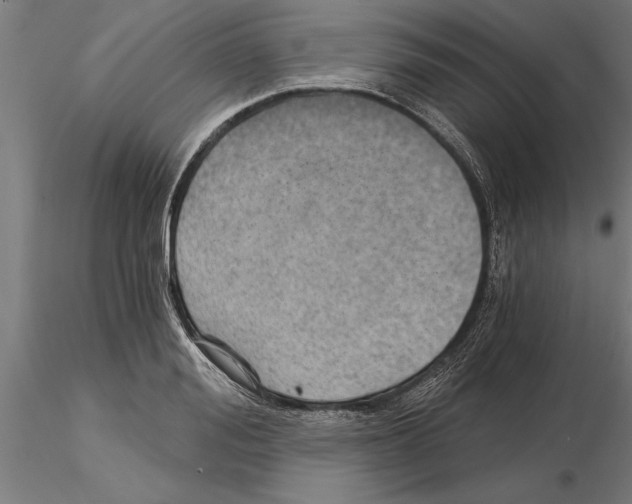 X0000115260988200912111136